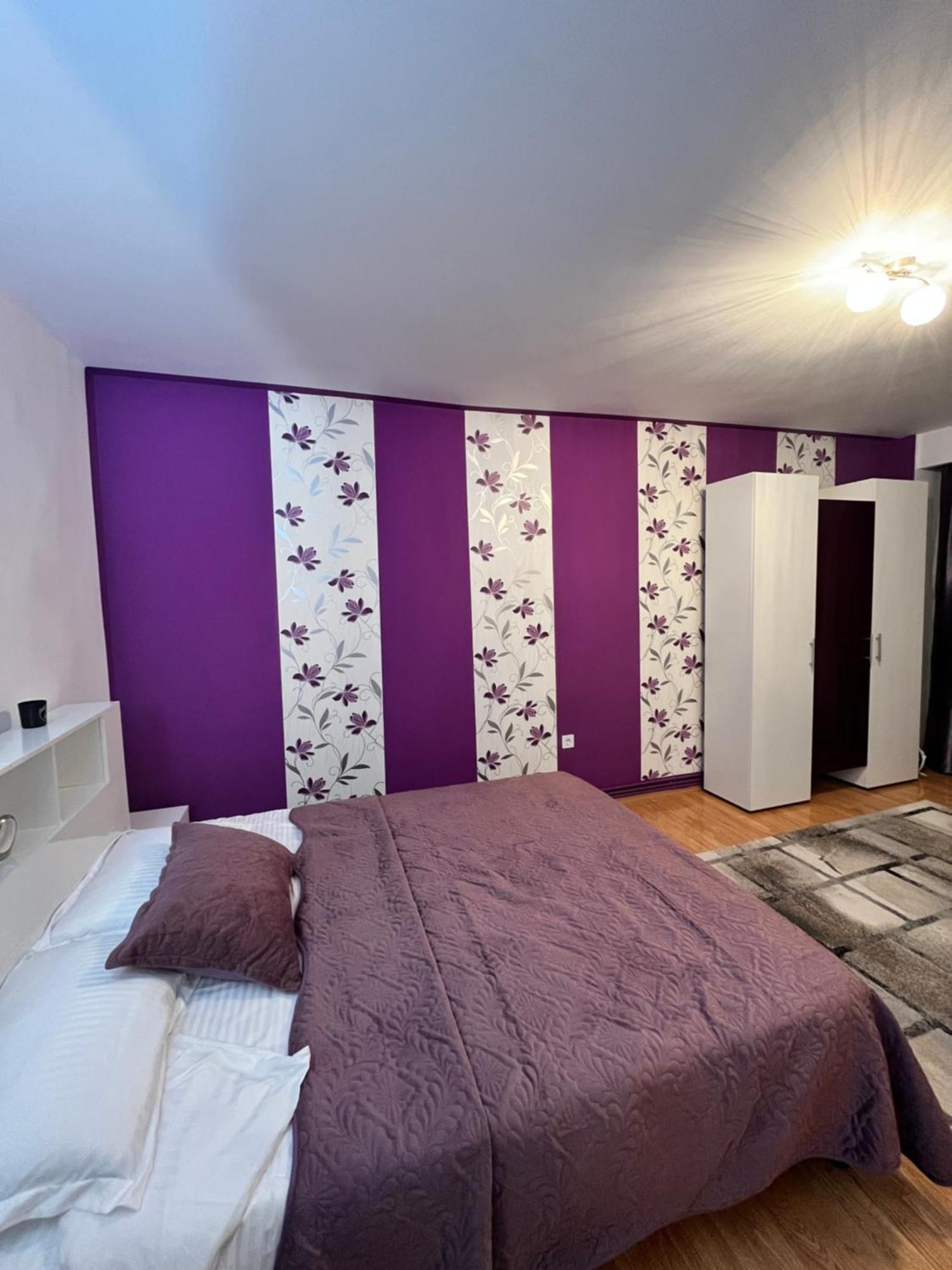 Carla Studio Брашов Экстерьер фото